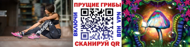 Псилоцибиновые грибы мухоморы  KRAKEN рабочий сайт  Адыгейск 